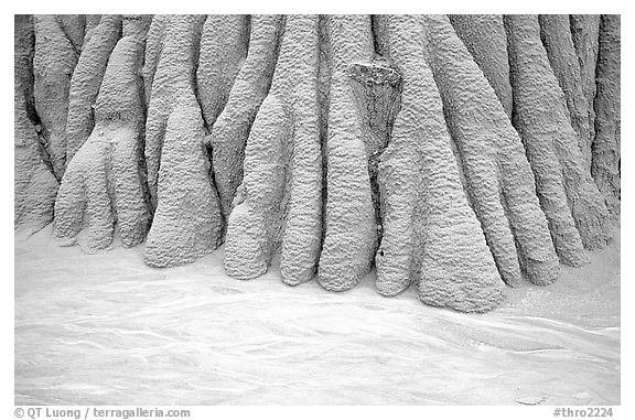 Erosion formations in mudstone. Theodore Roosevelt National Park (black and white)