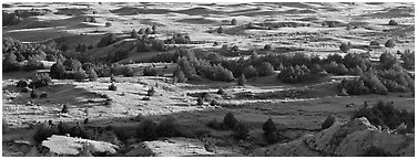 Landscape of prairie, badlands, and trees. Theodore Roosevelt National Park (Panoramic black and white)