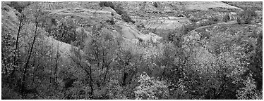 Badlands landscape in autumn. Theodore Roosevelt National Park (Panoramic black and white)