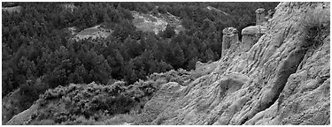 Badlands, caprock chimneys, and forest. Theodore Roosevelt  National Park (Panoramic black and white)