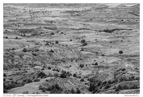 Painted Canyon. Theodore Roosevelt National Park (black and white)