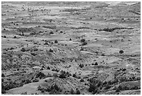 Painted Canyon. Theodore Roosevelt National Park ( black and white)