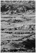 Rolling prairie and badlands, Painted Canyon. Theodore Roosevelt National Park, North Dakota, USA. (black and white)
