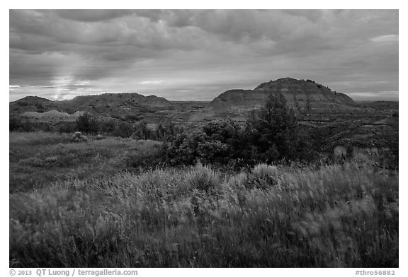 Sunset over grasses and badlands. Theodore Roosevelt National Park (black and white)