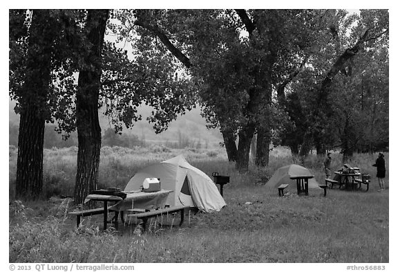 Cottonwood Campground. Theodore Roosevelt National Park (black and white)