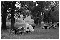 Cottonwood Campground. Theodore Roosevelt National Park, North Dakota, USA. (black and white)