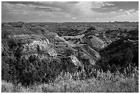 North Dakota badlands landscape. Theodore Roosevelt National Park ( black and white)
