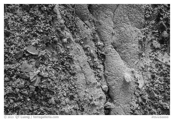 Close-up of clinker and clay. Theodore Roosevelt National Park (black and white)