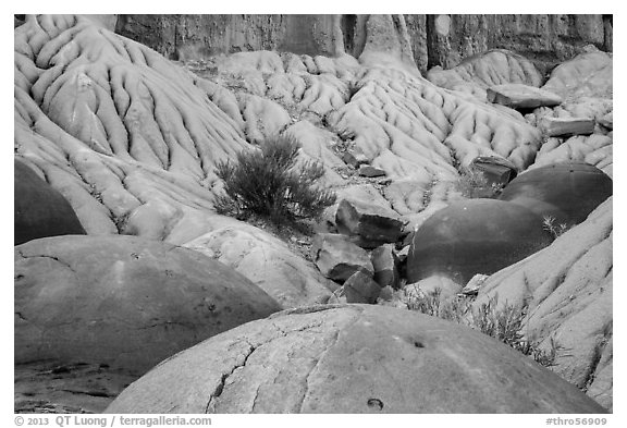 Cannonball concretions on badland folds. Theodore Roosevelt National Park (black and white)