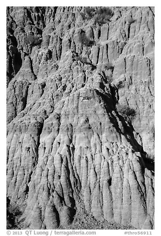 Wall with pillars. Theodore Roosevelt National Park (black and white)
