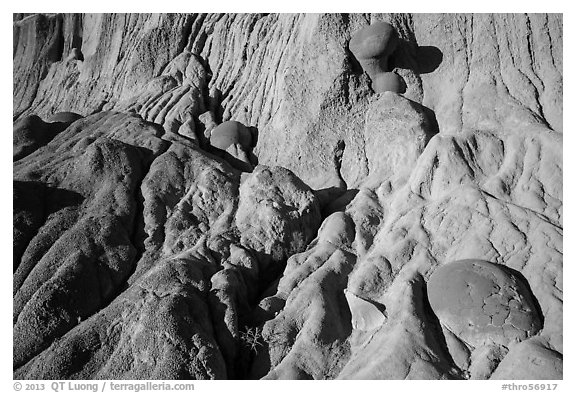 Cliff with cannonball concretions. Theodore Roosevelt National Park (black and white)