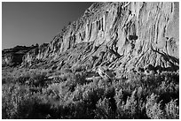 Grasses and cliff with cannonball concretions. Theodore Roosevelt National Park ( black and white)
