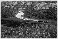 Grasses, Little Missouri river bend and badlands. Theodore Roosevelt National Park ( black and white)