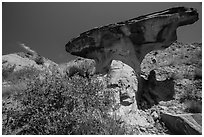 Anvil-shaped caprock. Theodore Roosevelt National Park ( black and white)