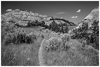 Caprock coulee trail. Theodore Roosevelt National Park ( black and white)