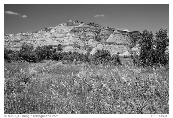 Summer prairie and badlands. Theodore Roosevelt National Park (black and white)