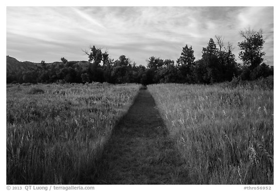 Trail through grasses, Elkhorn Ranch Unit. Theodore Roosevelt National Park (black and white)