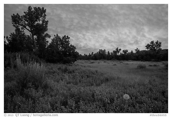 Meadow and colorful sunset clouds, Elkhorn Ranch Unit. Theodore Roosevelt National Park (black and white)