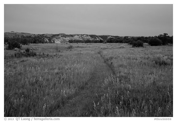 Faint trail at dusk, Elkhorn Ranch Unit. Theodore Roosevelt National Park (black and white)