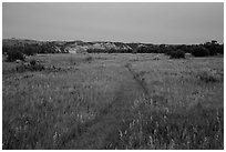 Faint trail at dusk, Elkhorn Ranch Unit. Theodore Roosevelt National Park, North Dakota, USA. (black and white)