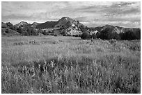 Meadow and badlands, early morning, Elkhorn Ranch Unit. Theodore Roosevelt National Park, North Dakota, USA. (black and white)