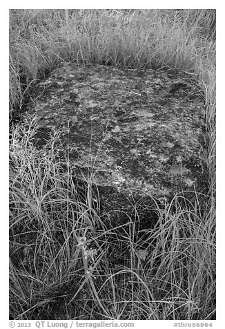 Foundation stone of Roosevelt Elkhorn Ranch. Theodore Roosevelt National Park (black and white)