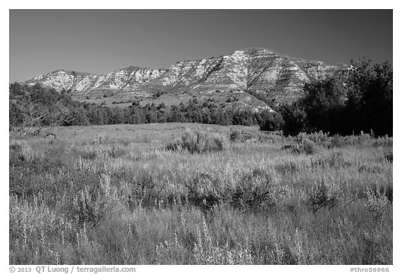 View from Roosevelt Elkhorn Ranch site. Theodore Roosevelt National Park (black and white)