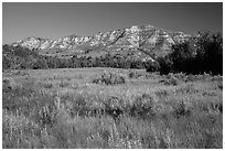 View from Roosevelt Elkhorn Ranch site. Theodore Roosevelt National Park ( black and white)