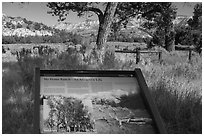 Interpretive sign, Roosevelt Elkhorn Ranch site. Theodore Roosevelt National Park ( black and white)