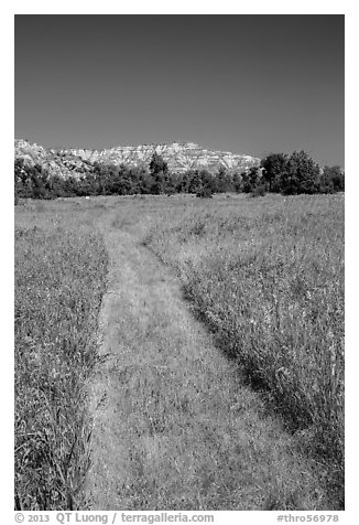Grassy faint trail and badlands, Elkhorn Ranch Unit. Theodore Roosevelt National Park (black and white)