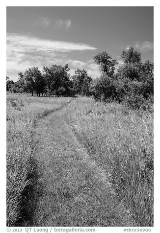Soft grass-covered trail, Elkhorn Ranch Unit. Theodore Roosevelt National Park, North Dakota, USA.