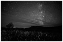 Milky Way, Elkhorn Ranch Unit. Theodore Roosevelt National Park, North Dakota, USA. (black and white)