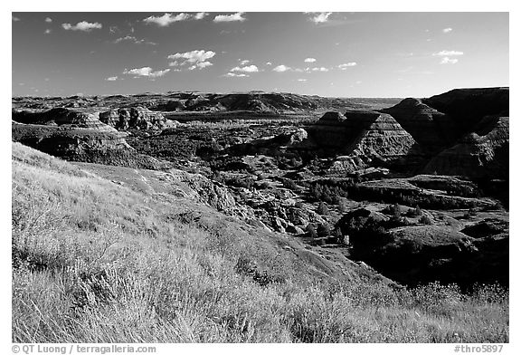 Forested Badlands. Theodore Roosevelt National Park (black and white)