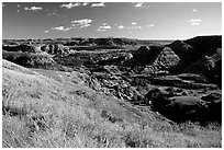 Forested Badlands. Theodore Roosevelt National Park ( black and white)
