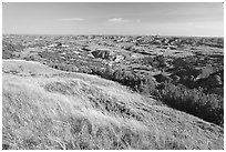 Prairie and badlands from Buck Hill, early morning. Theodore Roosevelt National Park ( black and white)