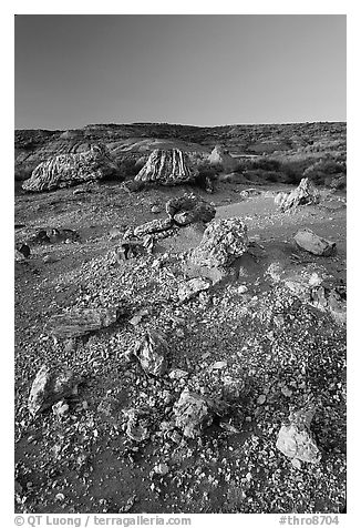 Pieces of petrified wood scattered, sunset. Theodore Roosevelt National Park (black and white)