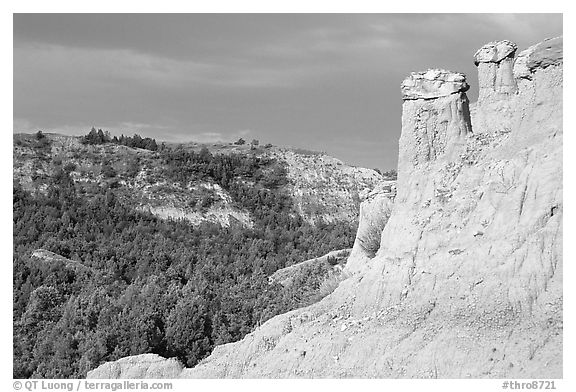 Caprock chimneys, Caprock coulee trail, North Unit. Theodore Roosevelt National Park (black and white)