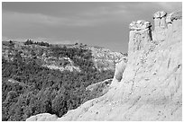 Caprock chimneys, Caprock coulee trail, North Unit. Theodore Roosevelt National Park ( black and white)