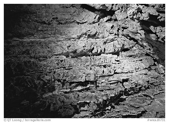 Cave concretions. Wind Cave  National Park (black and white)