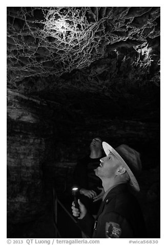 Ranger pointing flashlight at boxwork. Wind Cave National Park, South Dakota, USA.