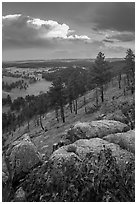 Rankin Ridge and cumulonimbus cloud in late afternoon. Wind Cave National Park, South Dakota, USA. (black and white)