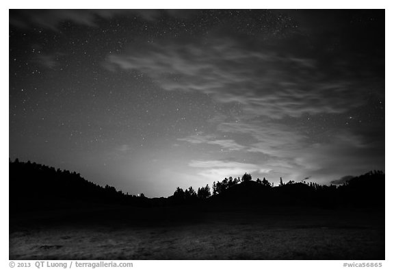 Prairie, pine trees on rolling hills at night. Wind Cave National Park (black and white)