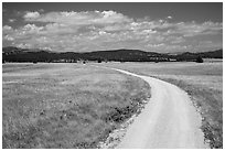 Gravel road through Red Valley. Wind Cave National Park, South Dakota, USA. (black and white)