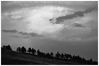 Row of trees under a storm cloud at sunset. Wind Cave National Park, South Dakota, USA. (black and white)