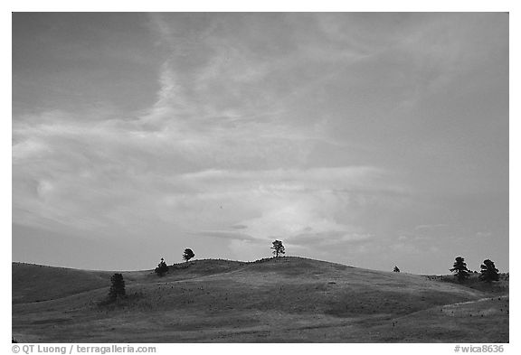 Hills, sunset. Wind Cave National Park (black and white)