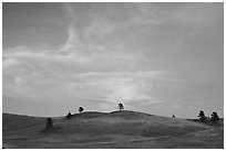 Hills, sunset. Wind Cave National Park ( black and white)