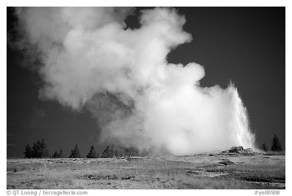 Steam clouds drifting from Old Faithfull geyser. Yellowstone National Park (black and white)