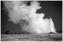 Steam clouds drifting from Old Faithfull geyser. Yellowstone National Park, Wyoming, USA. (black and white)