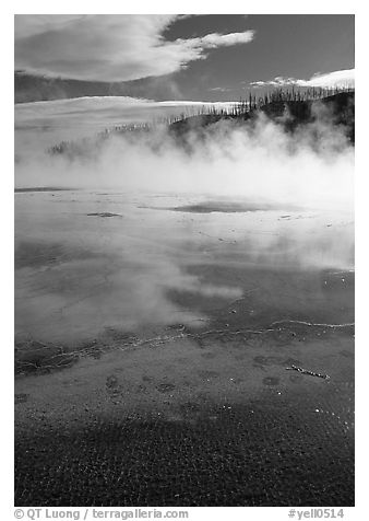 Great prismatic springs, thermal steam, and hill,  Midway geyser basin. Yellowstone National Park (black and white)