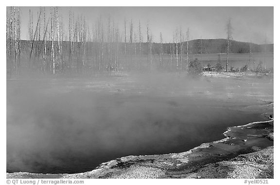 Pools, West Thumb geyser basin. Yellowstone National Park (black and white)